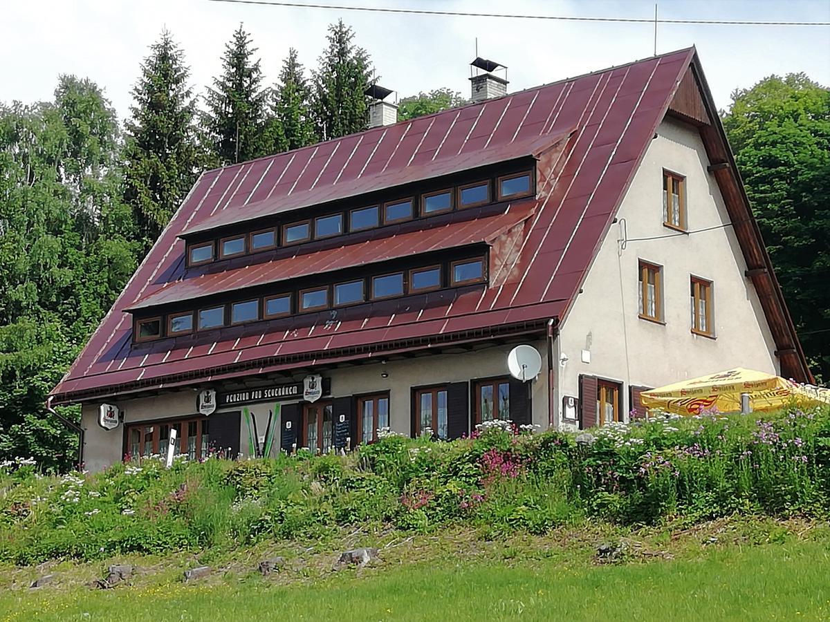 Penzion Pod Severakem Lučany nad Nisou المظهر الخارجي الصورة